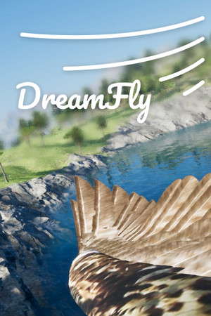 DreamFly poster
