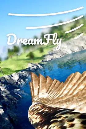 DreamFly poster