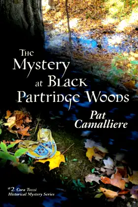The Mystery at Black Partridge Woods (Cora Tozzi Historical Mystery Series) poster