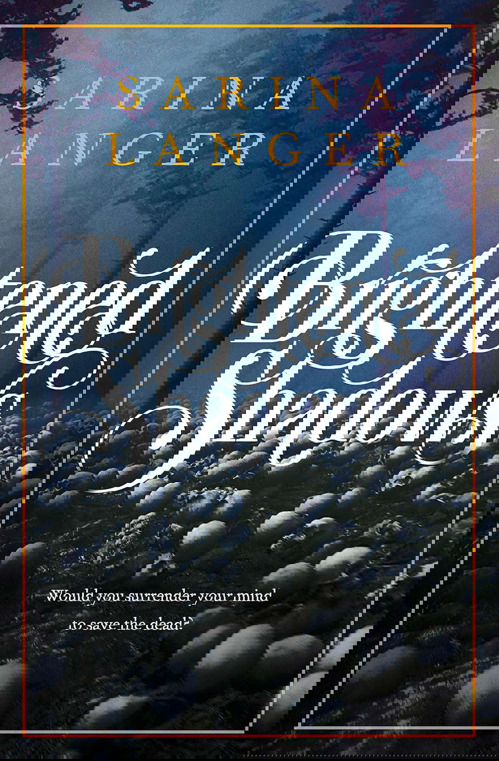 Brightened Shadows (Darkened Light Book 2) poster