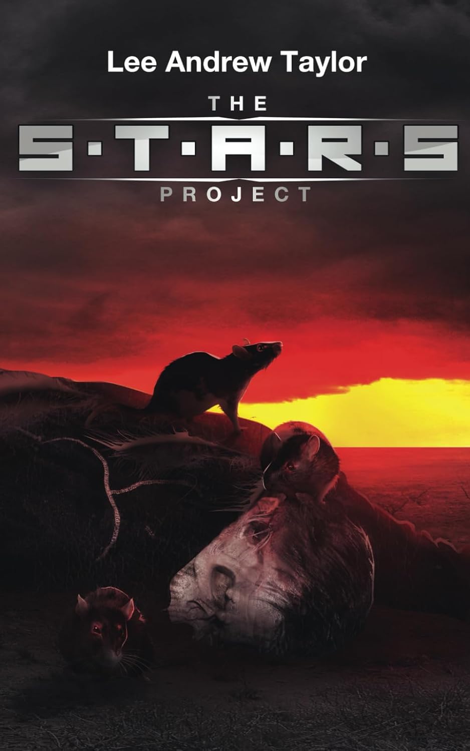 THE S.T.A.R.S PROJECT poster