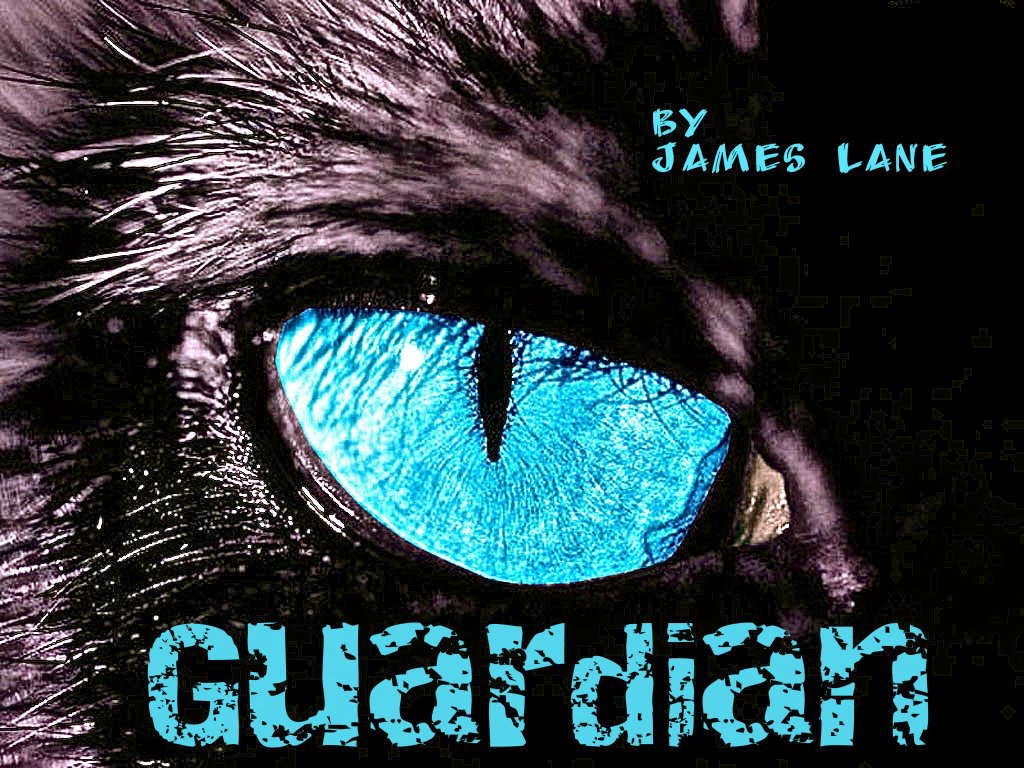 Guardian poster