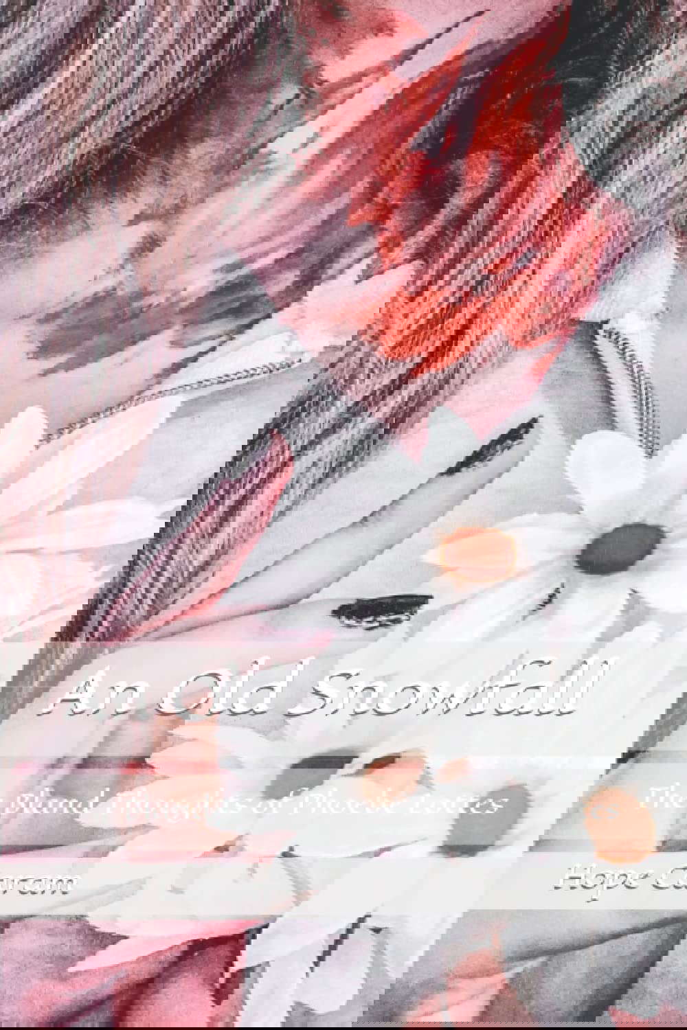 An Old Snowfall: The Bland Thoughts of Phoebe Lottes poster