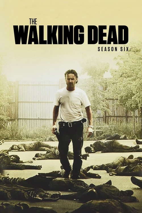Season 6 poster