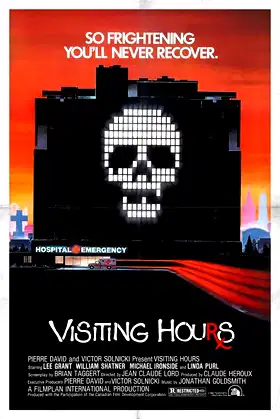 Visiting Hours poster