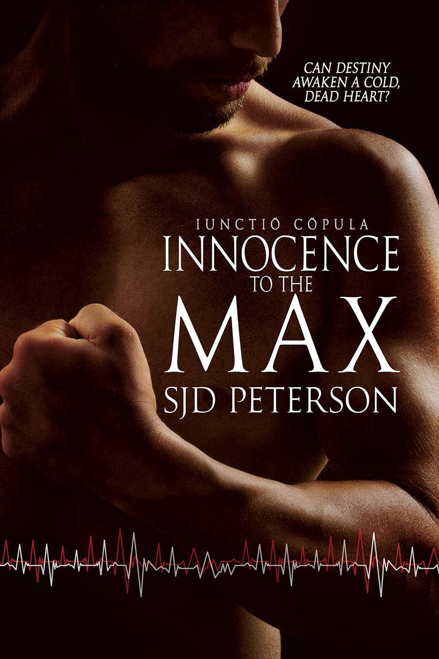 Innocence to the Max poster