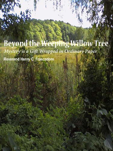 Beyond the Weeping Willow Tree poster