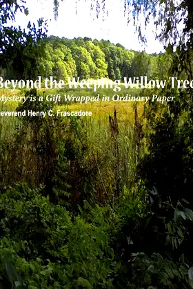 Beyond the Weeping Willow Tree poster