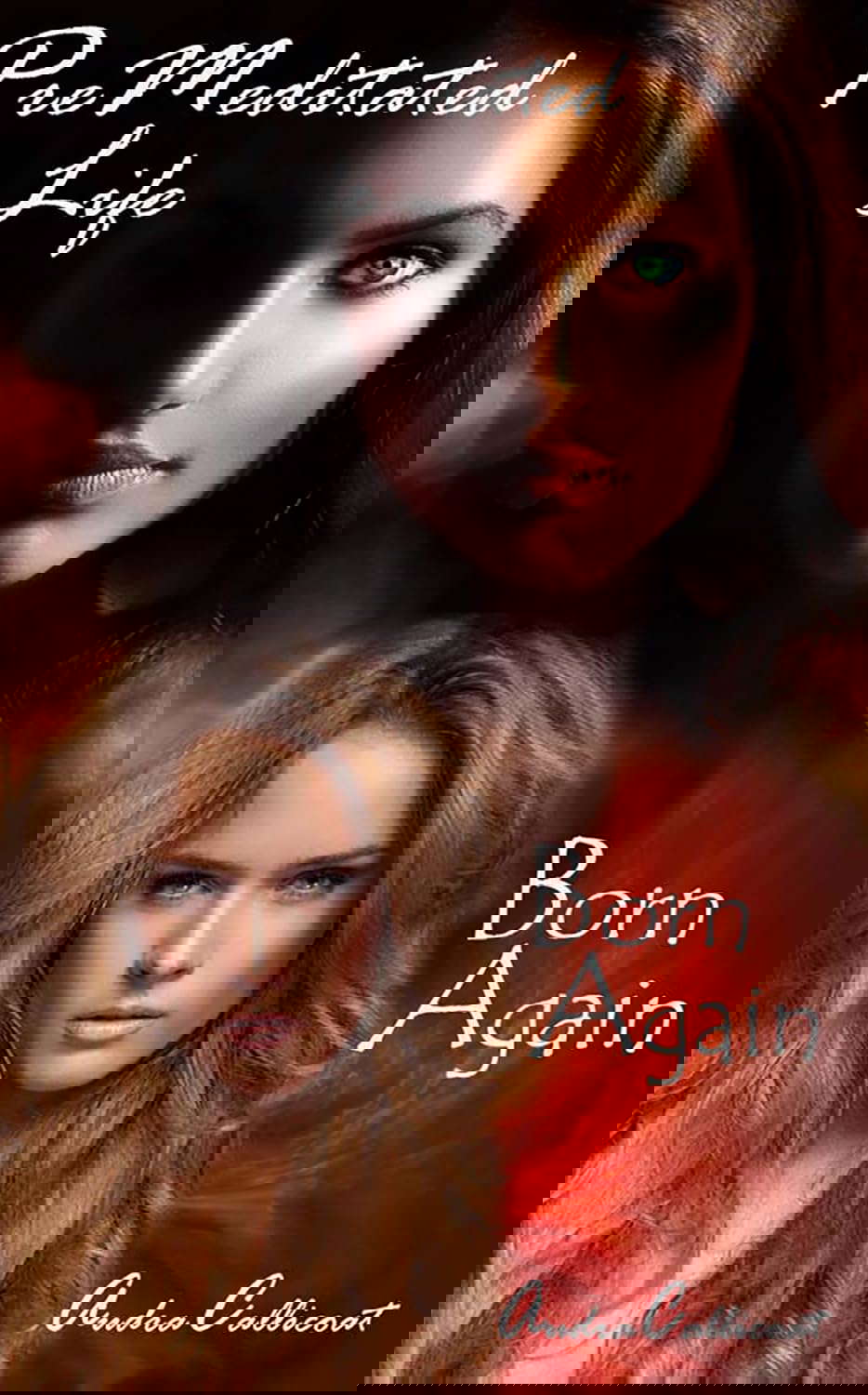 PreMeditated Life: Born Again poster