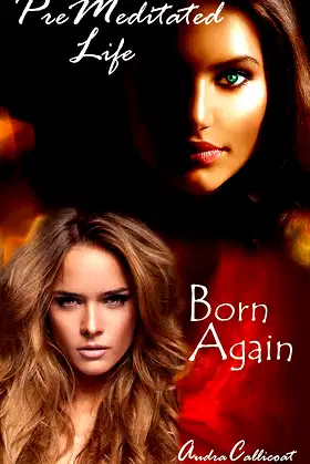 PreMeditated Life: Born Again poster