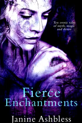 Fierce Enchantments poster