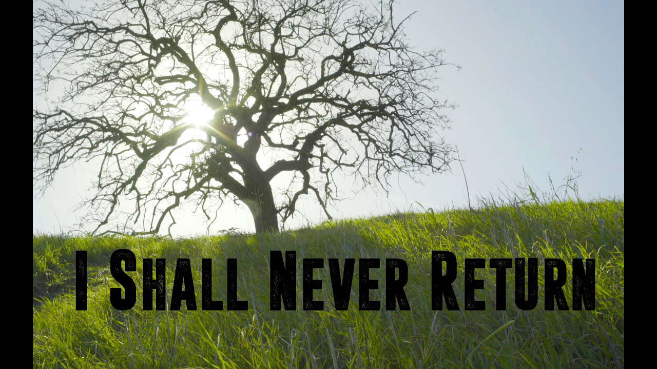 Poster for I Shall Never Return