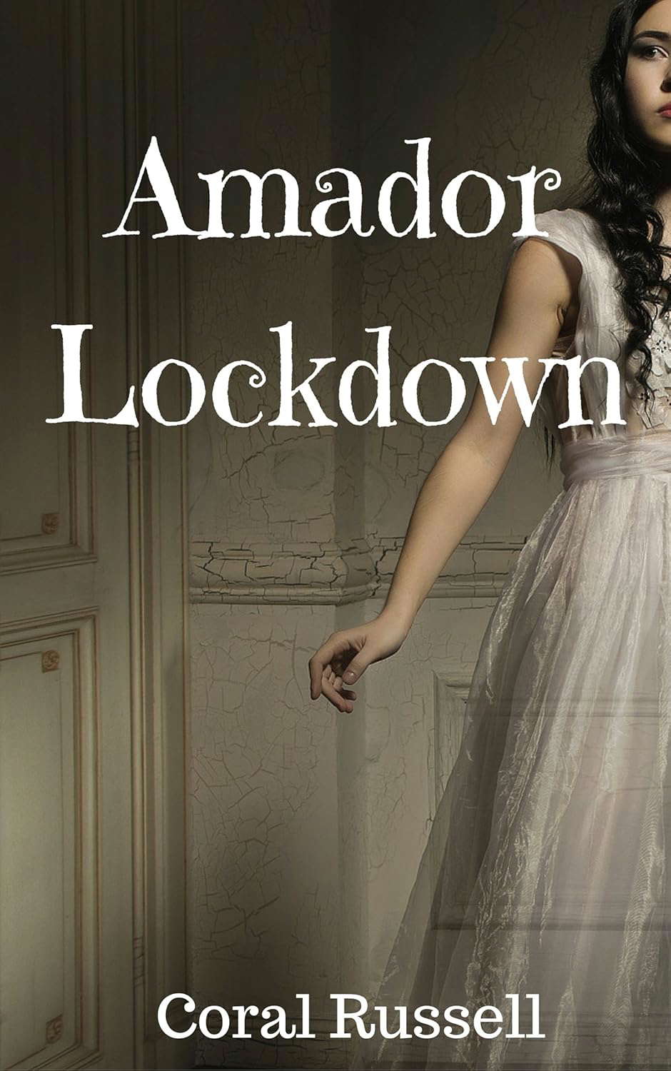 Amador Lockdown poster
