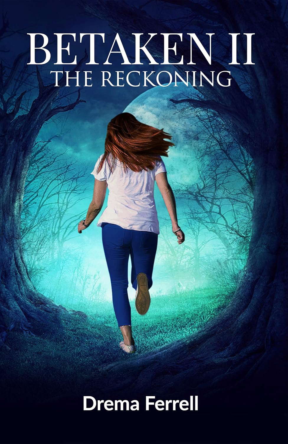 BETAKEN II: The Reckoning (BETAKEN the set Book 2) poster
