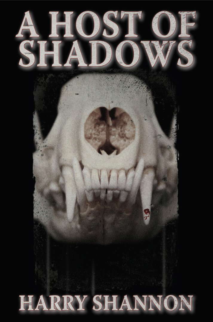 A Host of Shadows poster