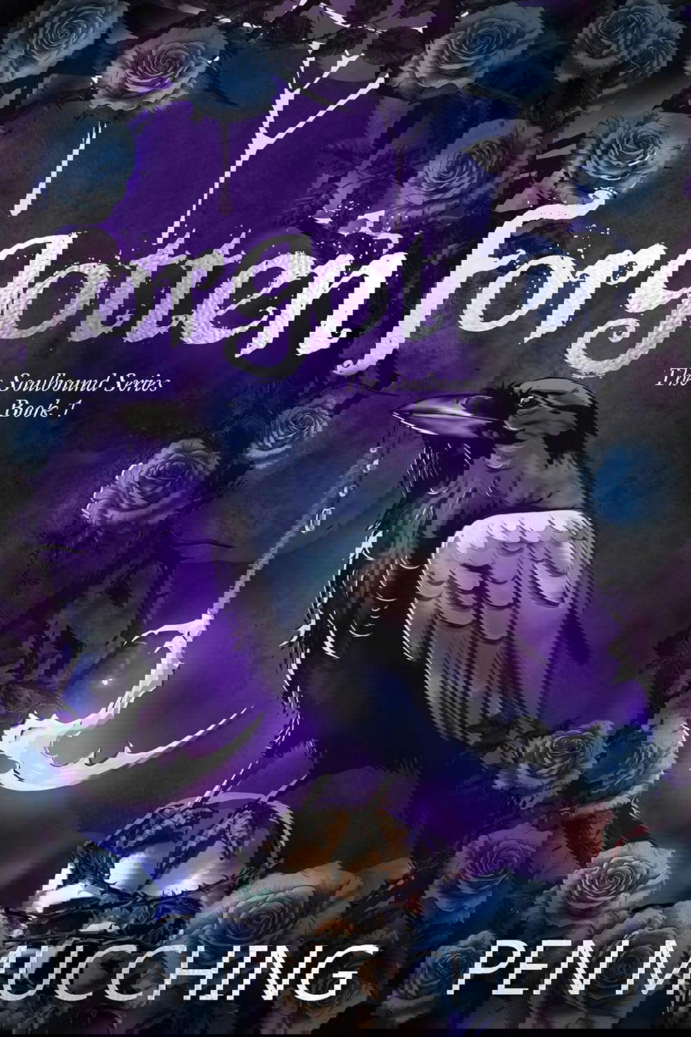 Forgotten: A Paranormal Dark Reverse Harem Romance (The Soulbound Book 1) poster