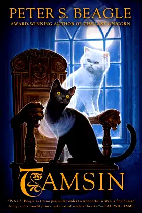 Tamsin poster