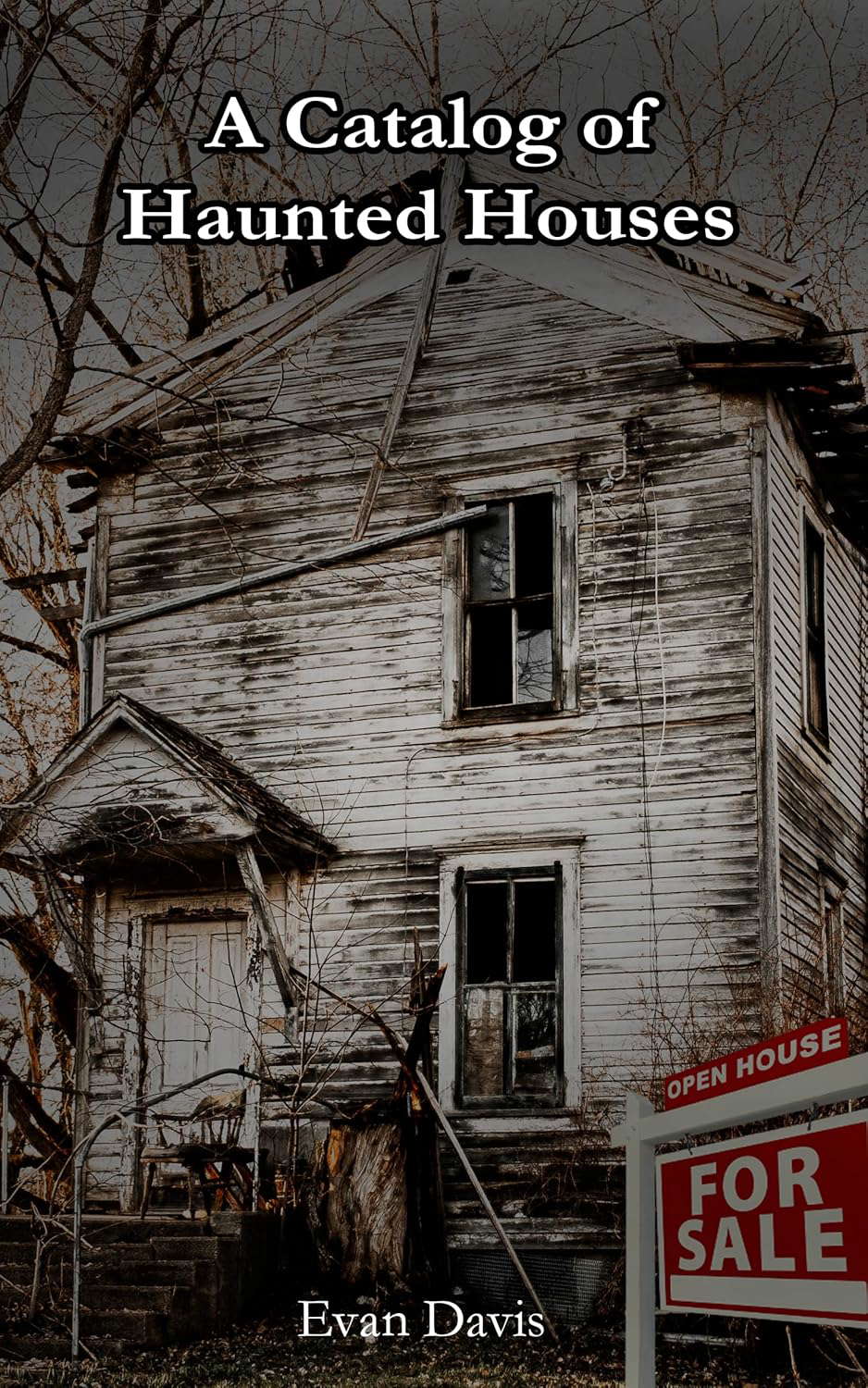 A Catalog of Haunted Houses: Volume I poster