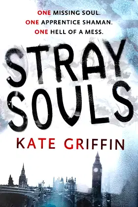 Stray Souls poster