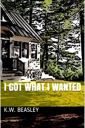 I Got What I Wanted poster