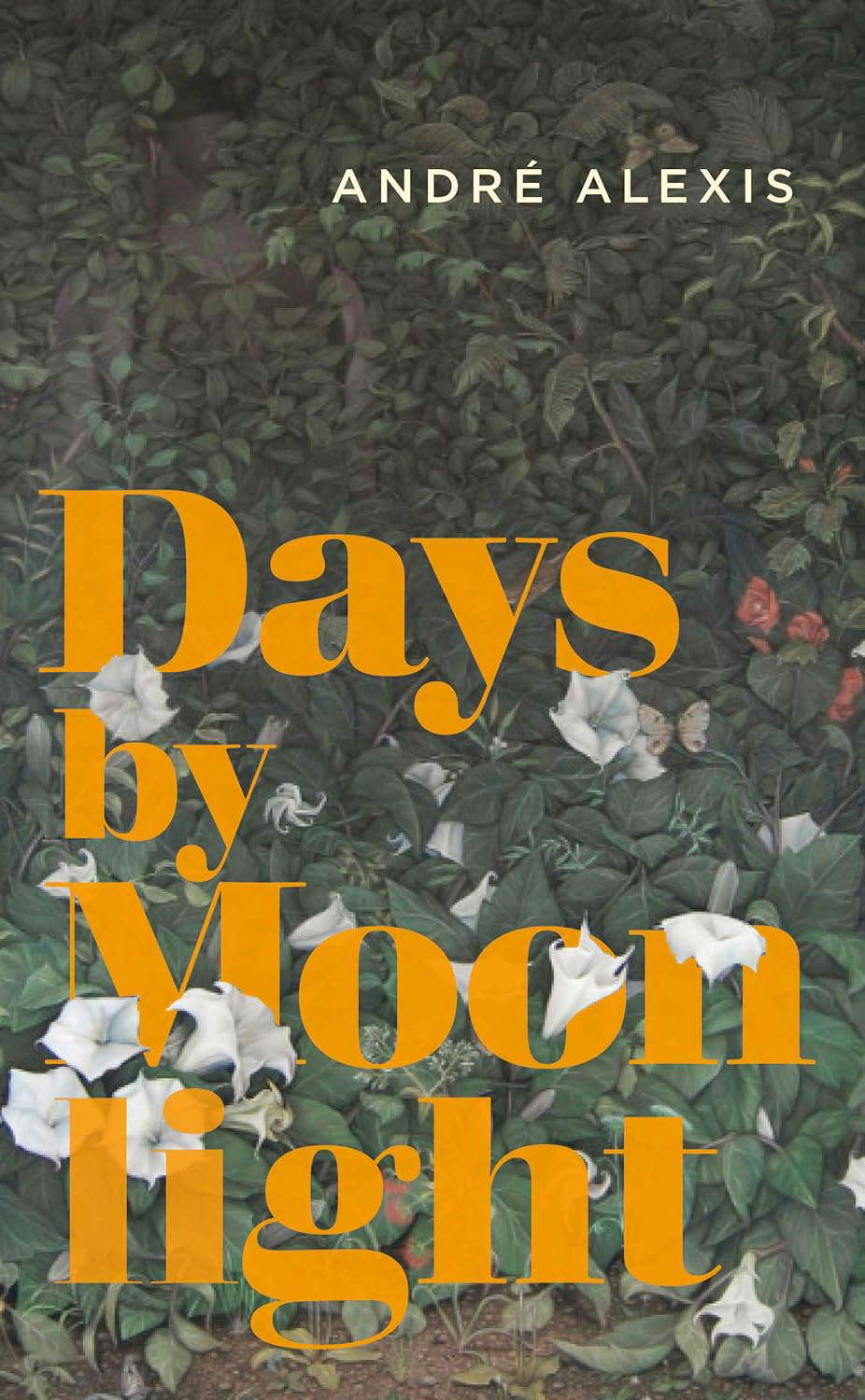 Days by Moonlight poster