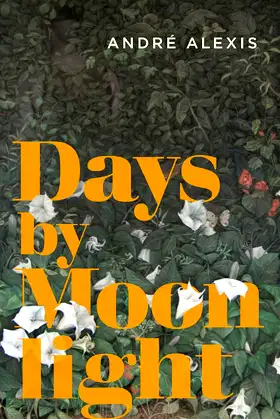 Days by Moonlight poster