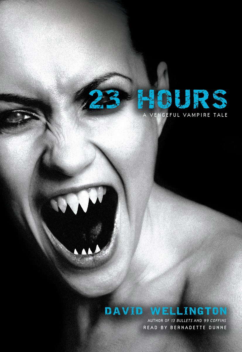 23 Hours: A Vengeful Vampire Tale poster