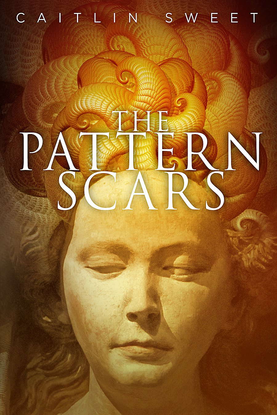 The Pattern Scars poster