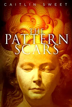 The Pattern Scars poster