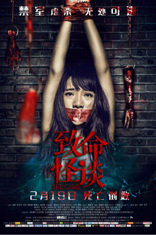 The Game poster