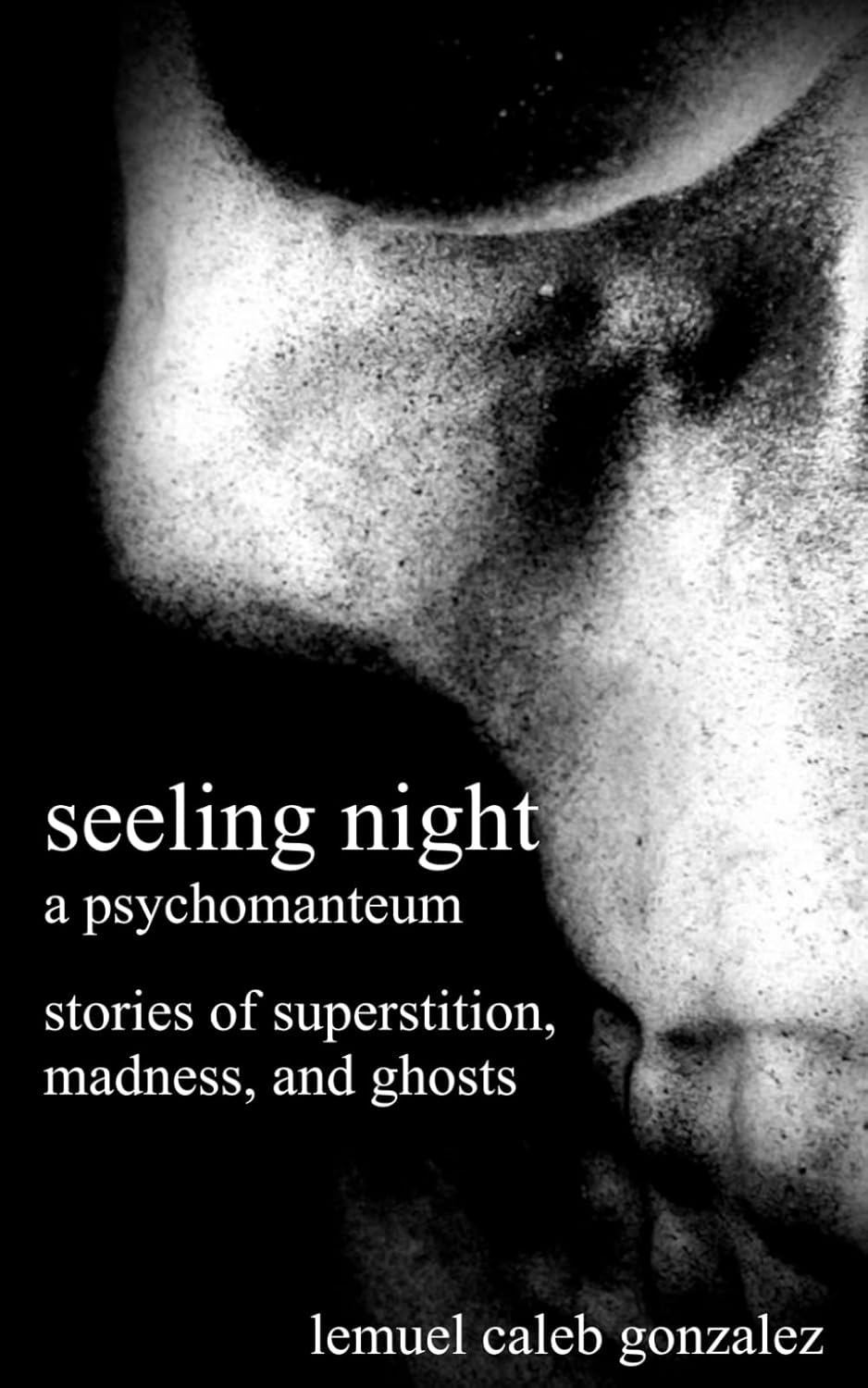Seeling Night: A Psychomanteum poster