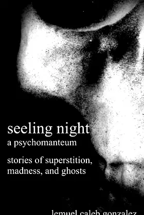 Seeling Night: A Psychomanteum poster