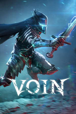 VOIN poster
