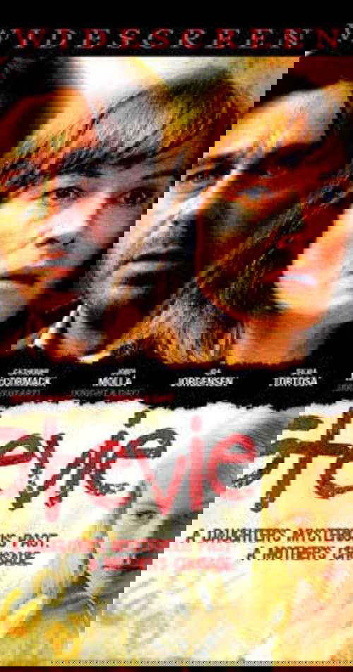 Stevie poster