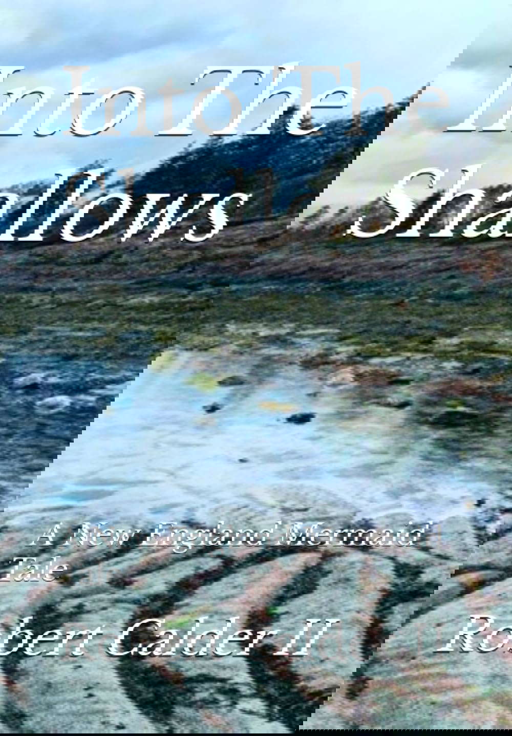 Into The Shallows: A New England Mermaid Tale poster