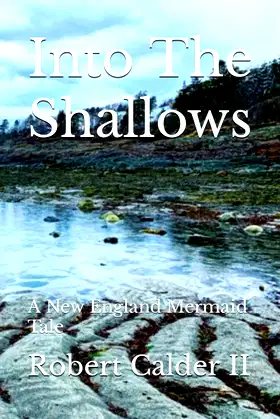 Into The Shallows: A New England Mermaid Tale poster