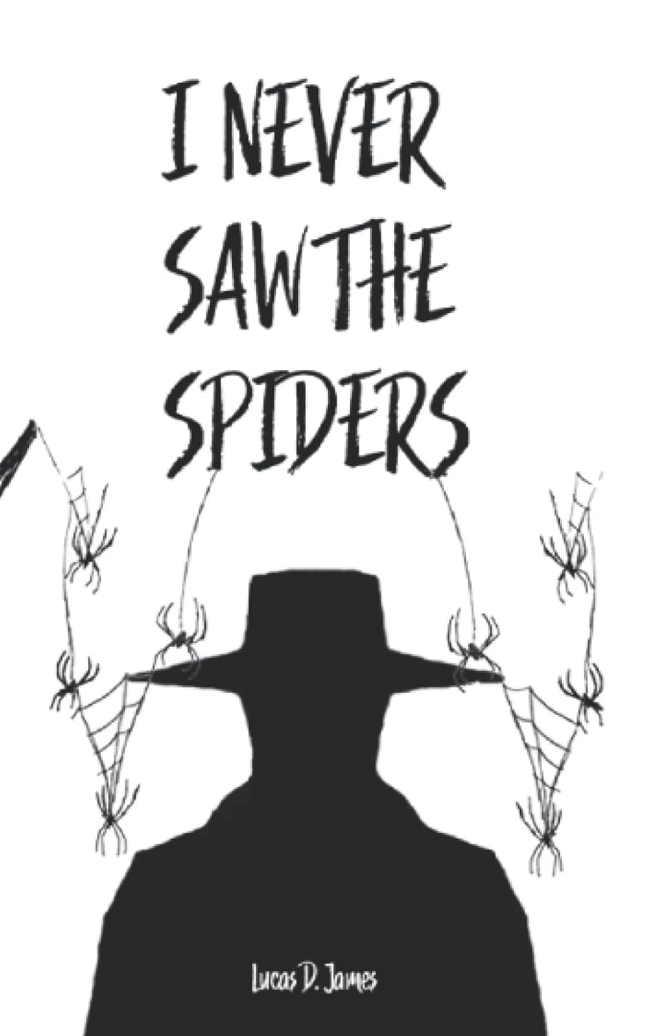 I Never Saw the Spiders poster