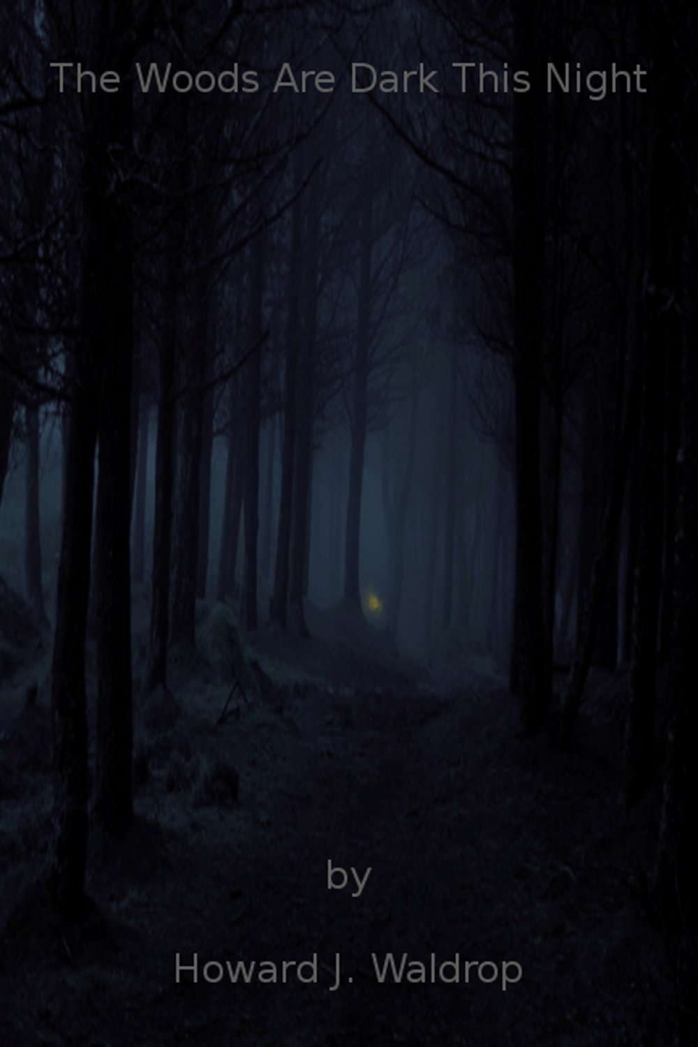 The Woods Are Dark This Night poster