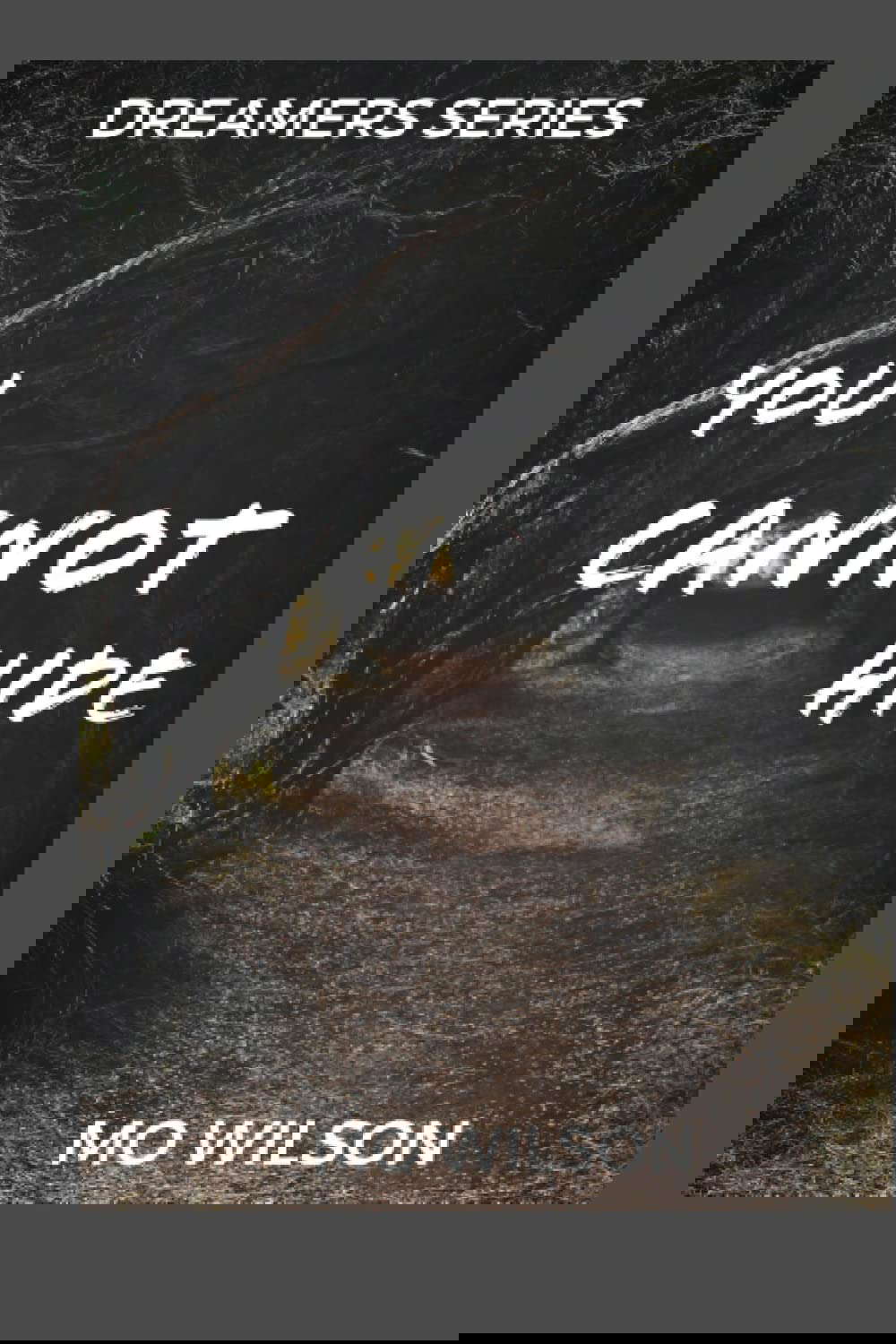 DREAMERS: You cannot hide poster