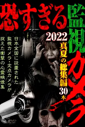 Extremely Scary Surveillance Camera 2022: Midsummer Compilation - 30 Clips poster