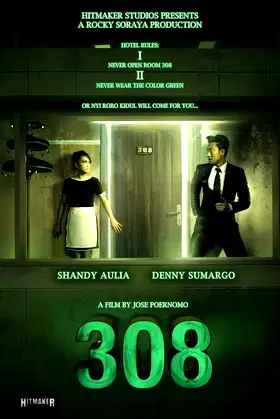 308 poster