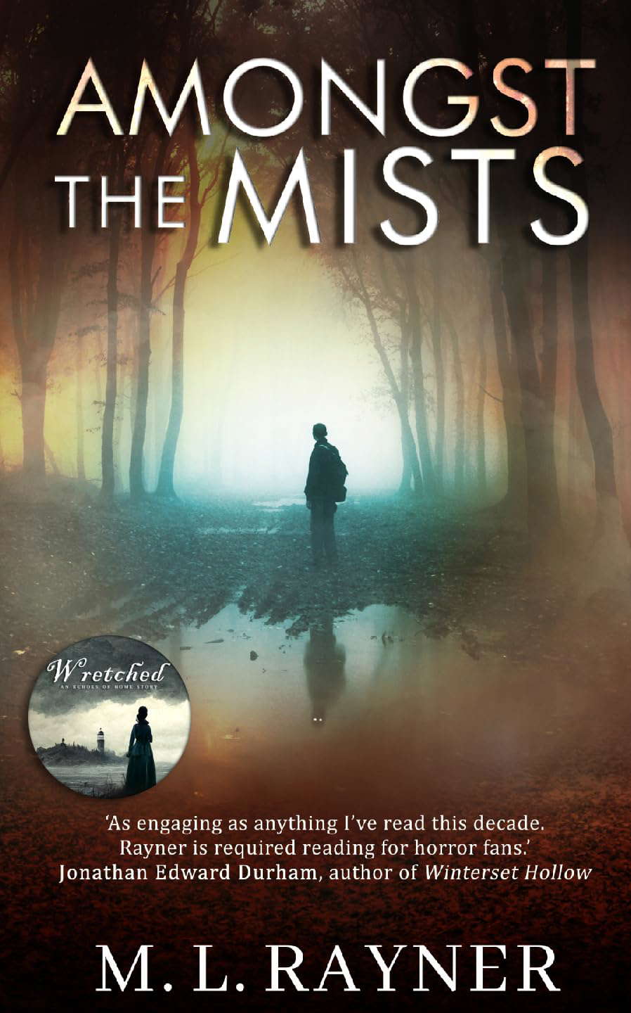 Amongst The Mists: A Novel poster
