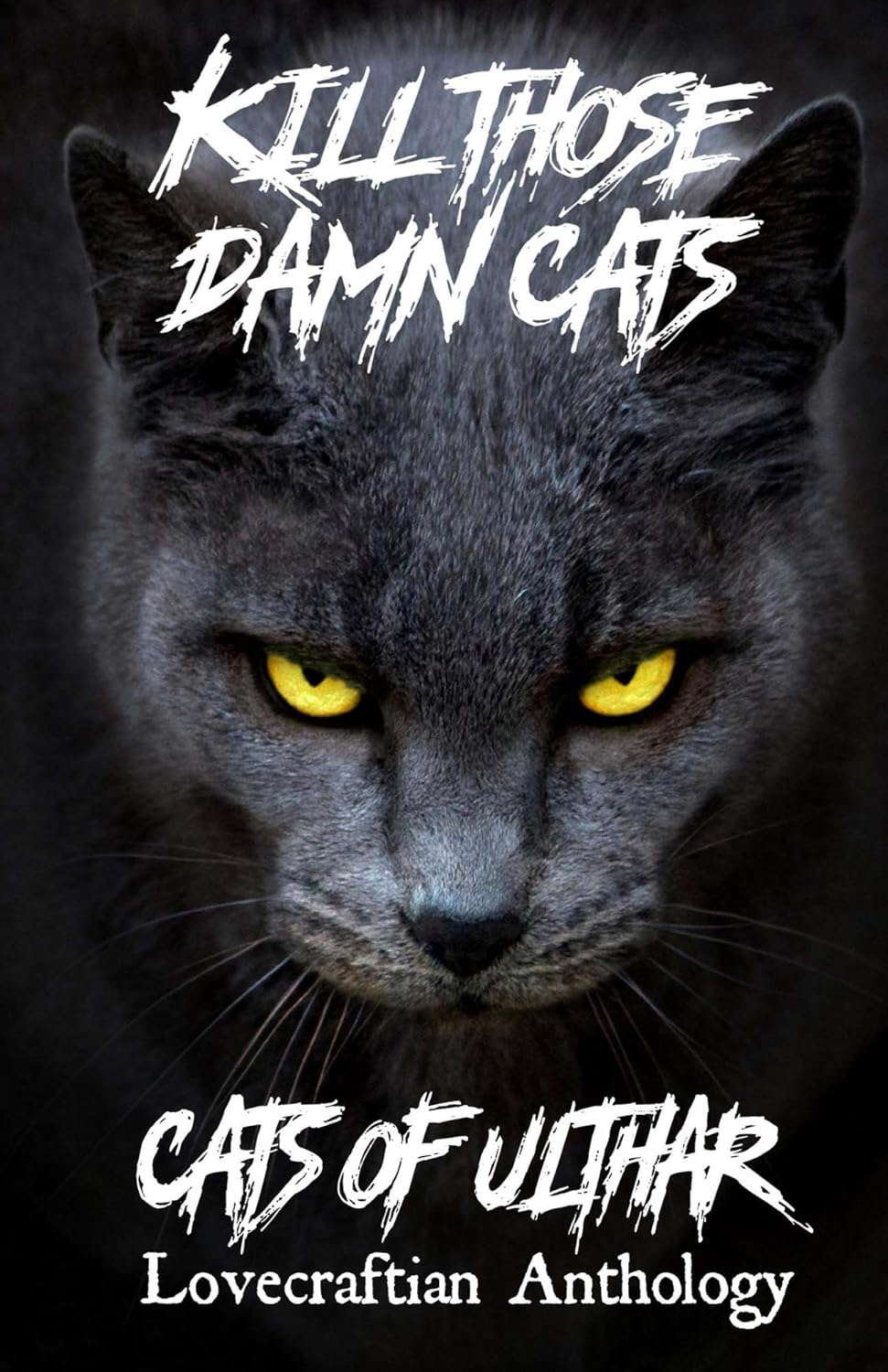 Kill Those Damn Cats - Cats of Ulthar Lovecraftian Anthology poster