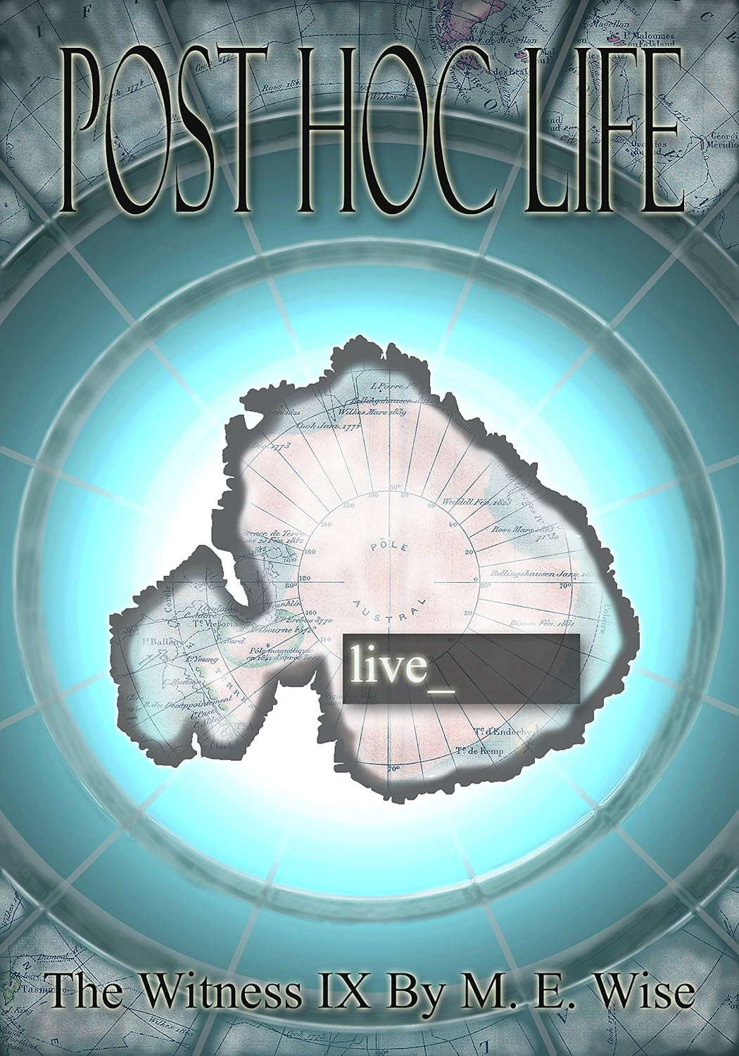 Post Hoc Life (The Witness Book 9) poster