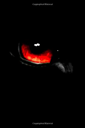 WOLF #3: Inferno poster