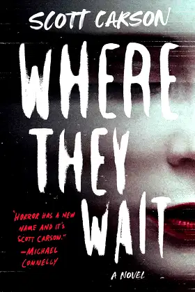 Where They Wait: A Novel poster