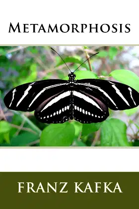 Metamorphosis poster
