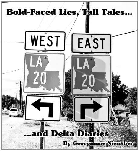 Bold-Faced Lies, Tall Tales, and Delta Diaries poster