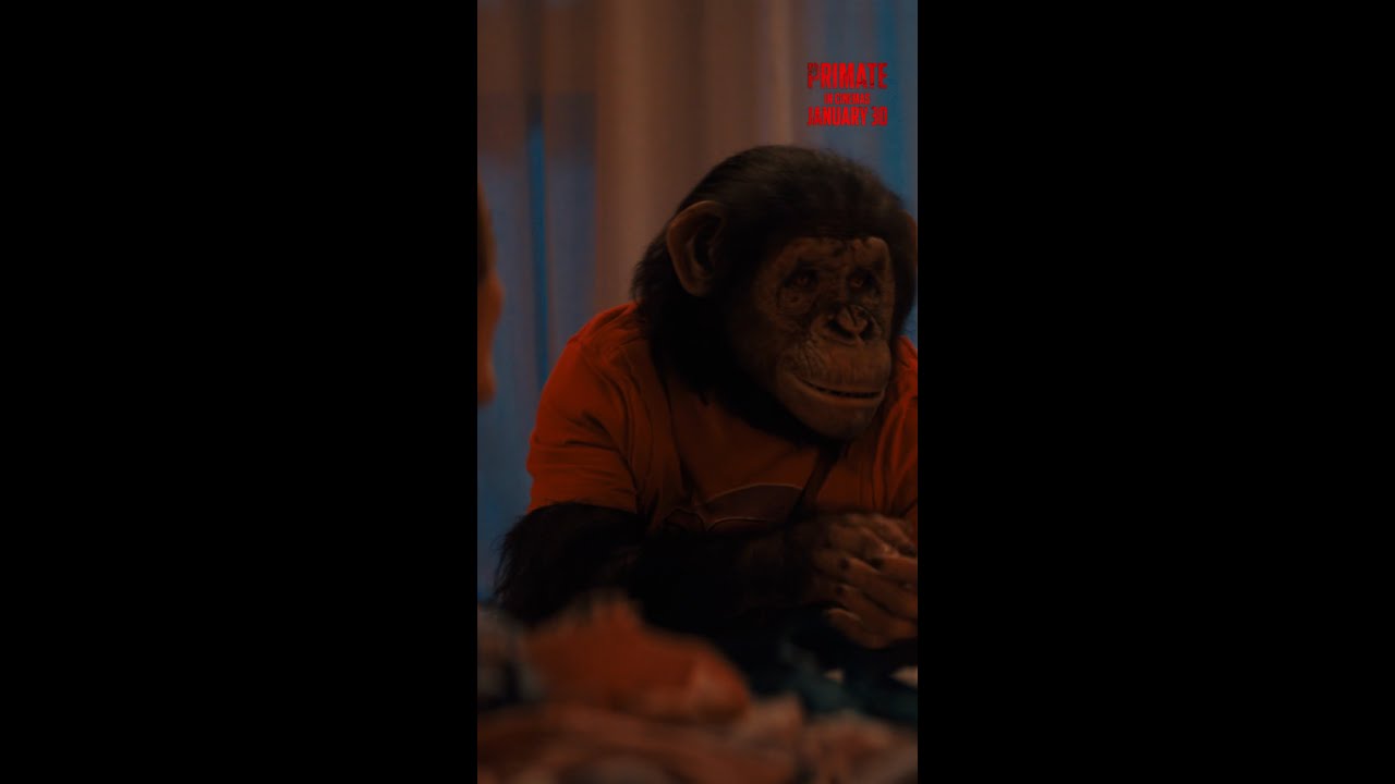 Primate | Fear | Paramount Pictures UK