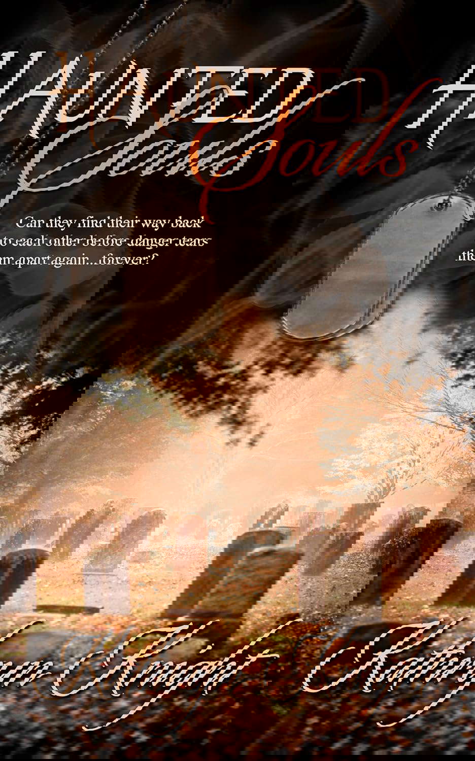 Haunted Souls poster